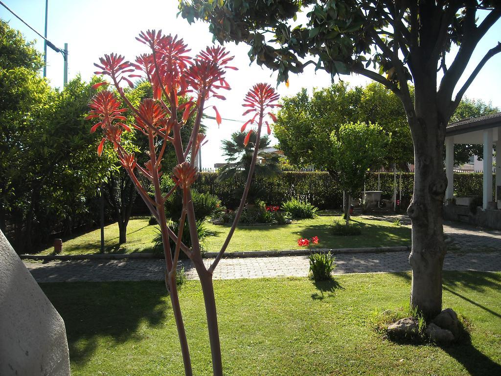 Giardino Degli Aranci B&B La Massimina-Casal Lumbroso Εξωτερικό φωτογραφία